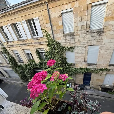 TANG Home-Bordeaux Hyper Centre-2